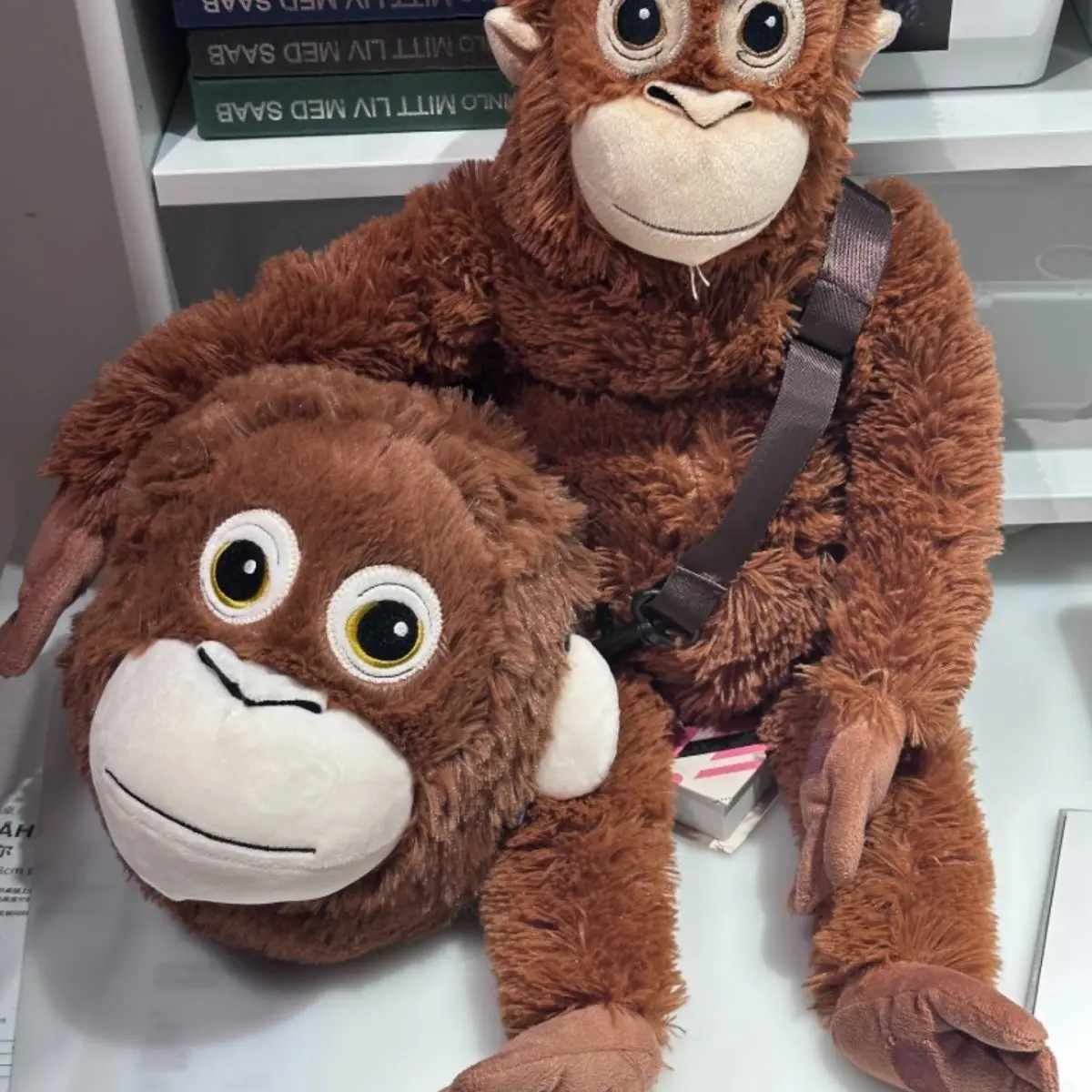 Sae087678508b4cacadd4219ae60d1