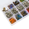 Plier Tool 100/200 Set 10 Color Metal Sewing Buttons Hollow/Solid Prong Press Studs Snap Fasteners for Installing Clothes Bags 2