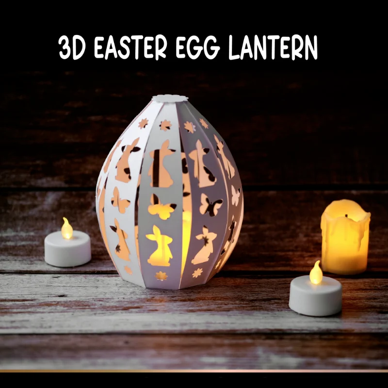 3D Ȱ   ݼ  , DIY ũ ٹ  ī  ,   
