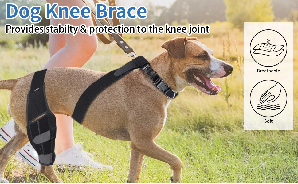 Pet Supplies Dog Knee Pads Knee Pads Pet Protectors Dog Surgical Injury Protectors Customizable
