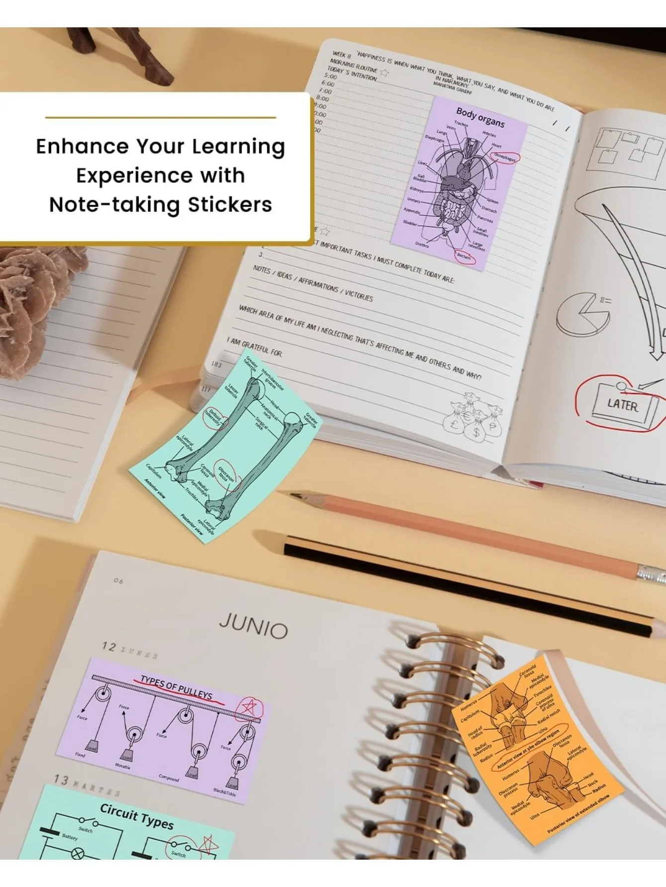 T02 Mint Green/Lavender Purple/Light Orange, Adhesive Thermal Paper, Color Printer Paper, Compatible With T02/M02X/M02L