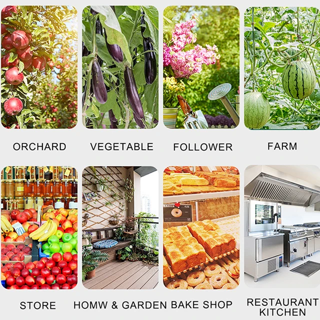 Függő Légycsapdás Golyó Gyümölcsliszta Fogó Ragacsos Csapdák Orchard Fa Ragadós Lógó Gyümölcshibához A Növényi Darázs -Ellenőrzéshez - Image 6