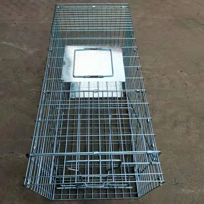 Middle FOLDABLE Reusable Bait Snap treadplate Animal Trap Cage