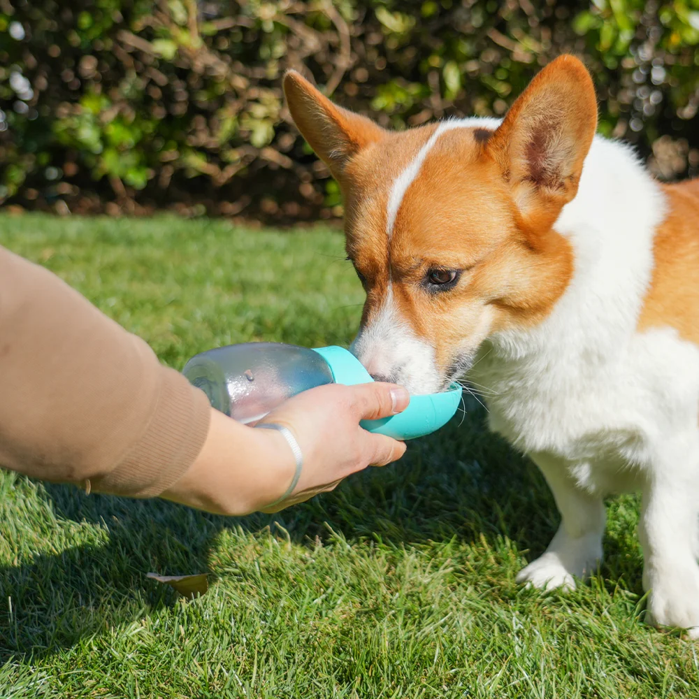 Pet Portable Water Bottle for Small Dogs Cats Leakproof Outdoor Travel Dog Drinking Bowl Water Dispenser Puppy Chihuahua Supplie 2