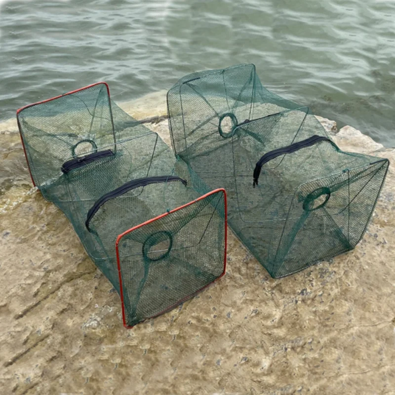 

Shrimp Fish Trap Telescopic Folding Fishing Net Mesh Fishnet Cage with Feeder Creel Fordable Carpfishing Crayfish Catcher