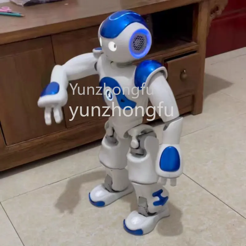 Programmable Humanoïd Robot NAO V6