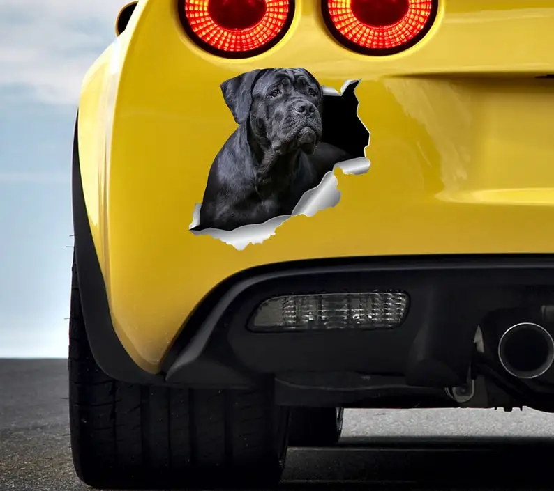 Cane Corso Sticker Car Dog Stickers Pet Sticker Cane Cane Cane Nero Sticker Animali Decor Auto Sticker Cane Cane Cane Nero Corso Auto
