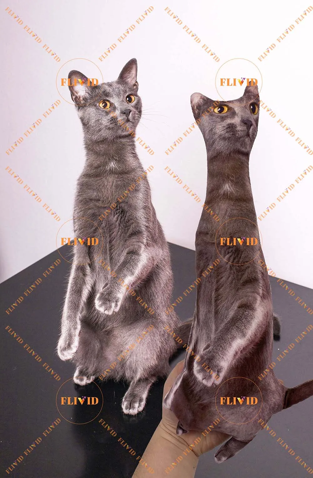 Custom Pet 3D Shape Pillow,Hot Ugly Cat/Dog Zany Pillow,Personalized Pet Pillow from Photo,Pet Loss Memorial Gift,Pet Lover Gift 6