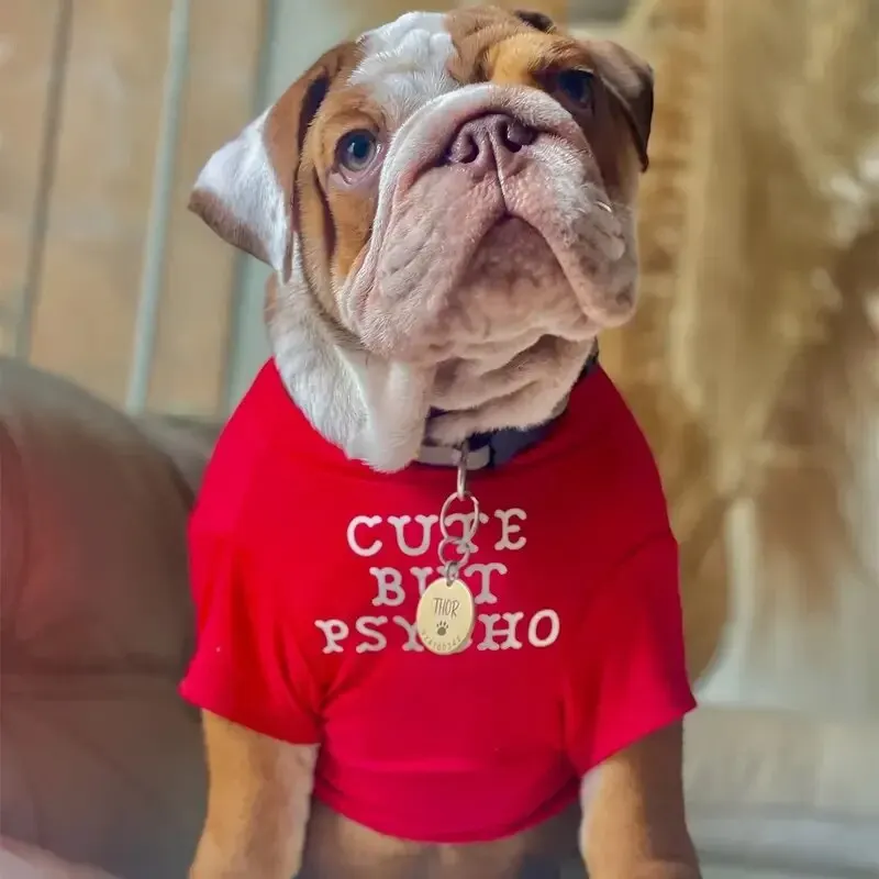 Pet Dog Shirt For French Bulldog Round Neck Dog T-shirt With Letter Printed Suitable For All Seasons pet dog shirt