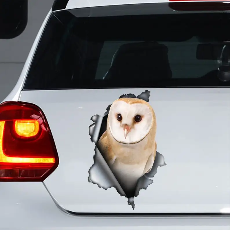 

Barn Owl car decal,Barn Owl magnet, Barn Owl sticker, owl decal