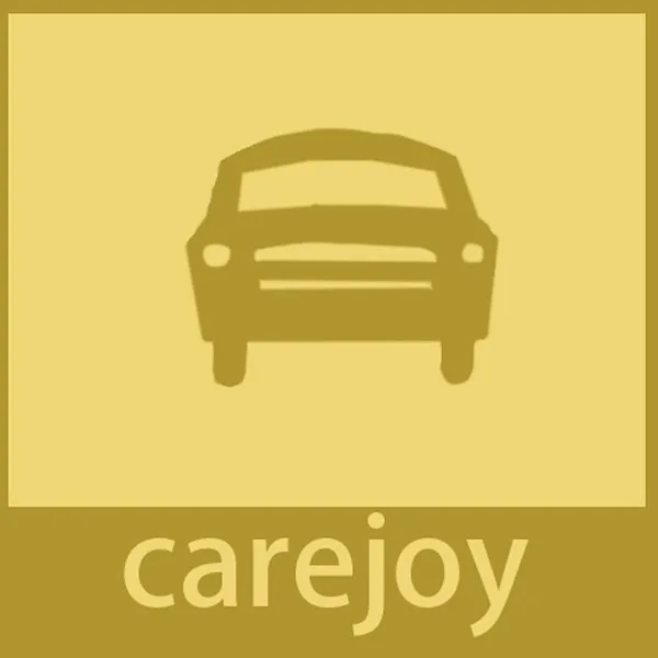 Carejoy Automobile Accessory Store