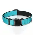Sky blue collar