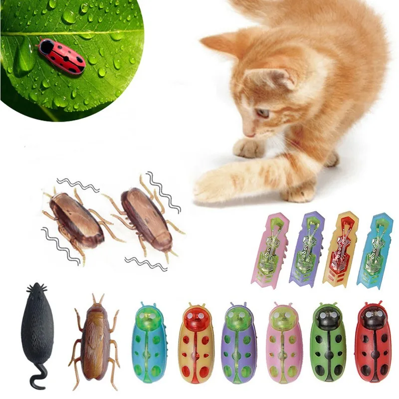 Funny Electric Bugs Catnip Toy 1