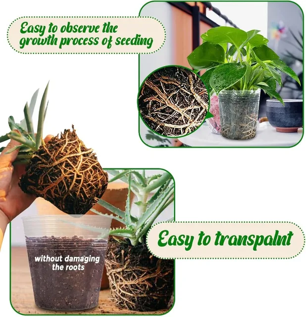 10/50pcs Transparent Nursery Pots with Drainage Hole Seed Starting Pot Flower Plant Container Gardening Planting Nutrition Cups 5
