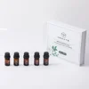 100% PURE Essential Set Oils For Aroma Diffuser Machine Air Humidifier Candle Making Scents  Hotel Series Fragrance Oil 5ML x 10 6