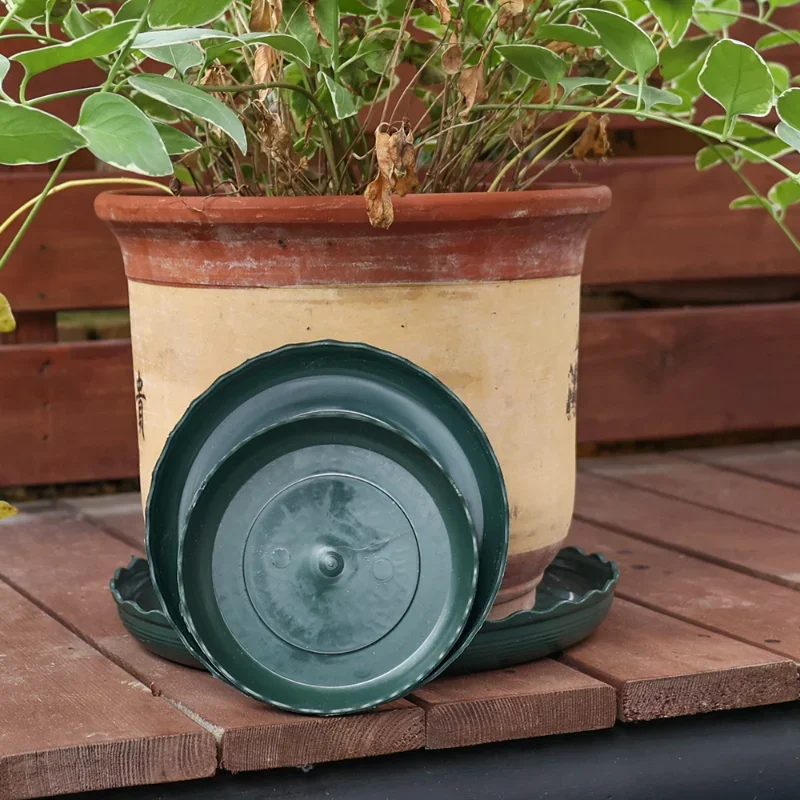 Lot De 3 Soucoupes Pour Plantes En Acier Inoxydable Doré – 30x12,1 Cm – Élégant Et Facile à Nettoyer