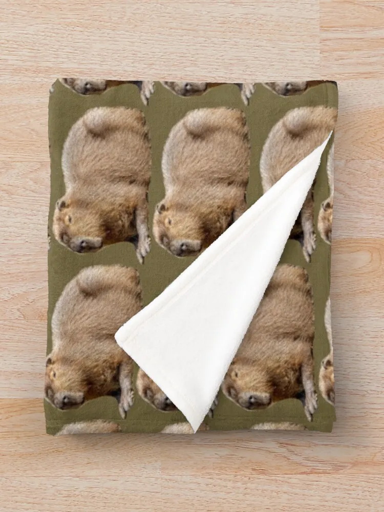 Capybara Throw ���, ����� �ε巯�� ķ�� ���º�