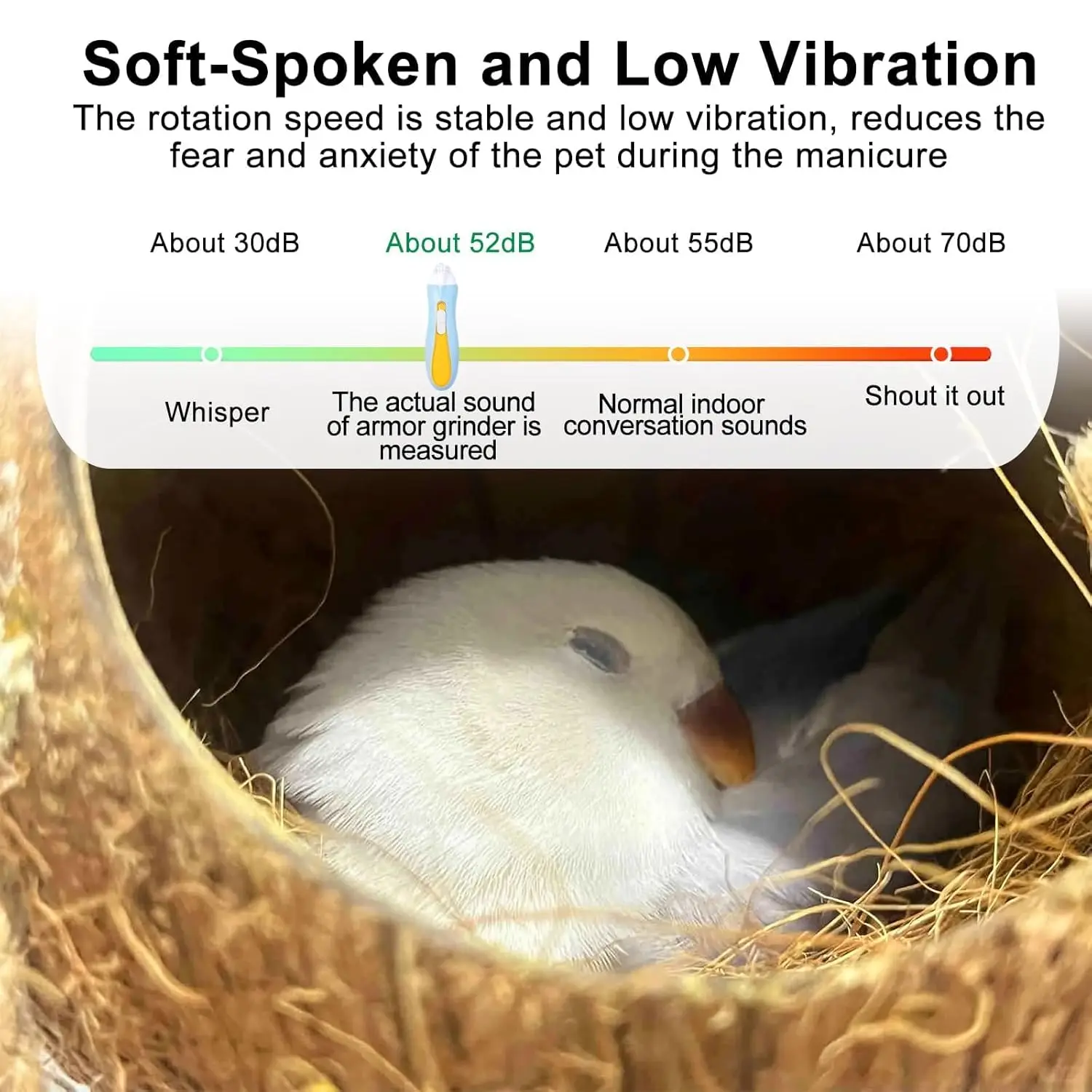 Bird Nail Clipper Bird Nail Grinder Bird Beak Trimmer With Led Lights Pet Electric Nail Polisher With 6 Grinders Adjustable Speed For Budgies Ect