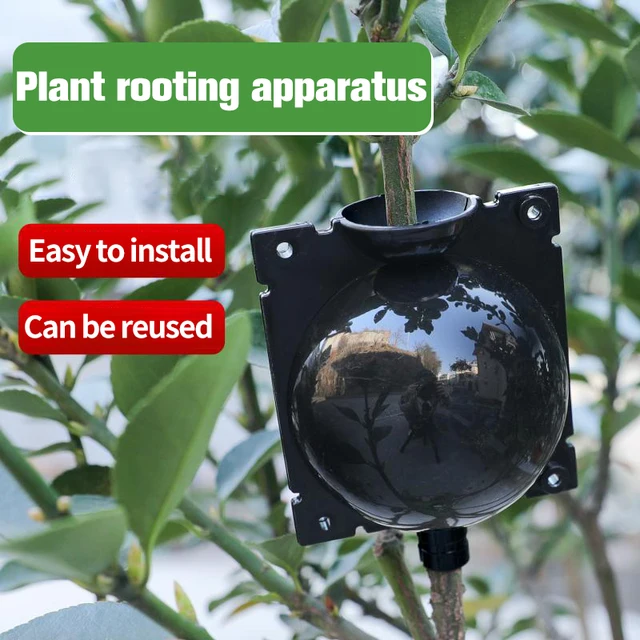 5 db Növény Gyökerező Gömb Kerti Oltó Doboz Csepp Szaporodás Tenyésztési Gyökér Tok - Image 3