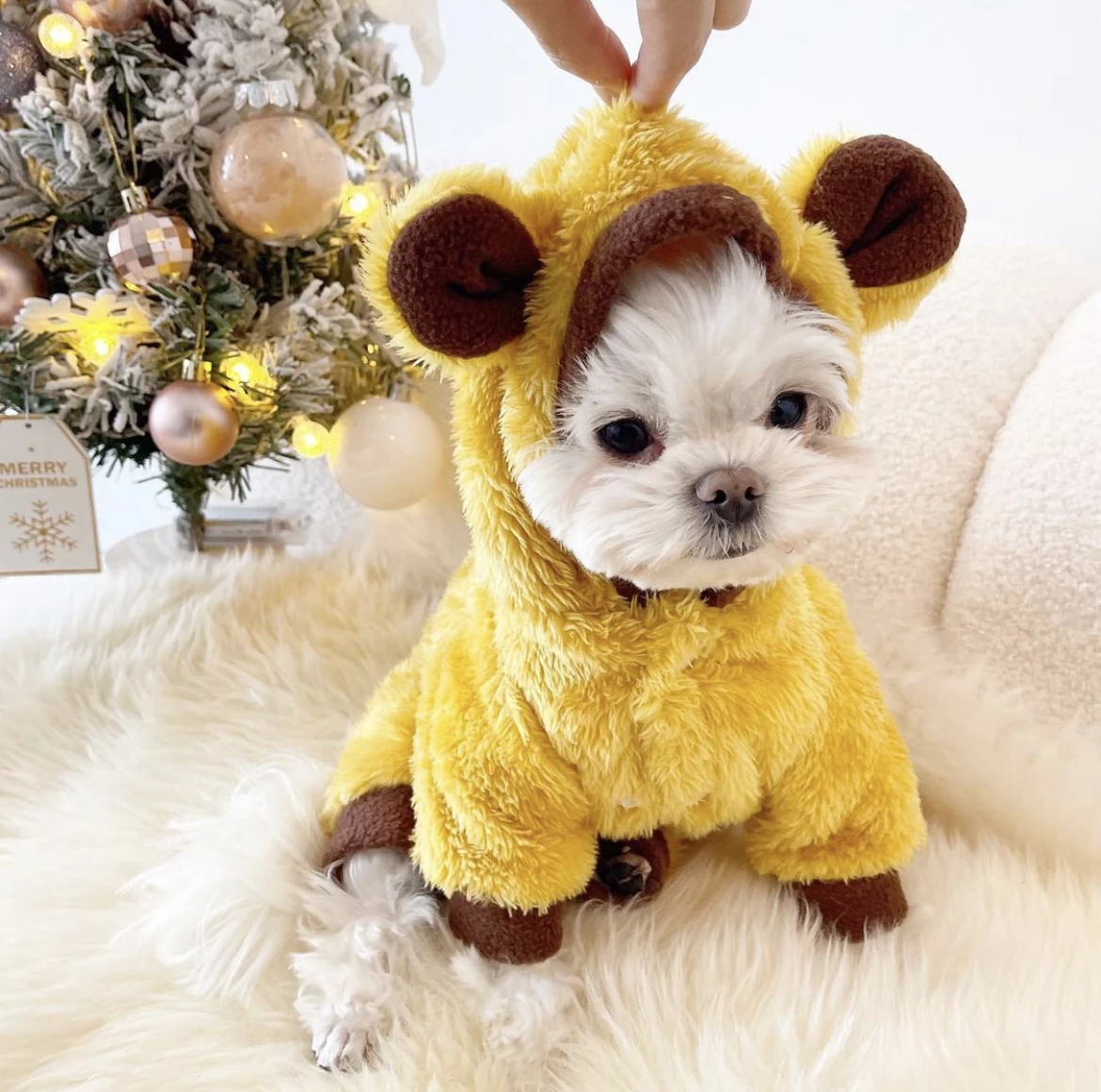 Pet Four Legged Clothes Medium Dog Sweater Clothes Small Dogs Pet pet-four-legged-clothes-medium-dog-sweater-clothes-small-dogs-pet