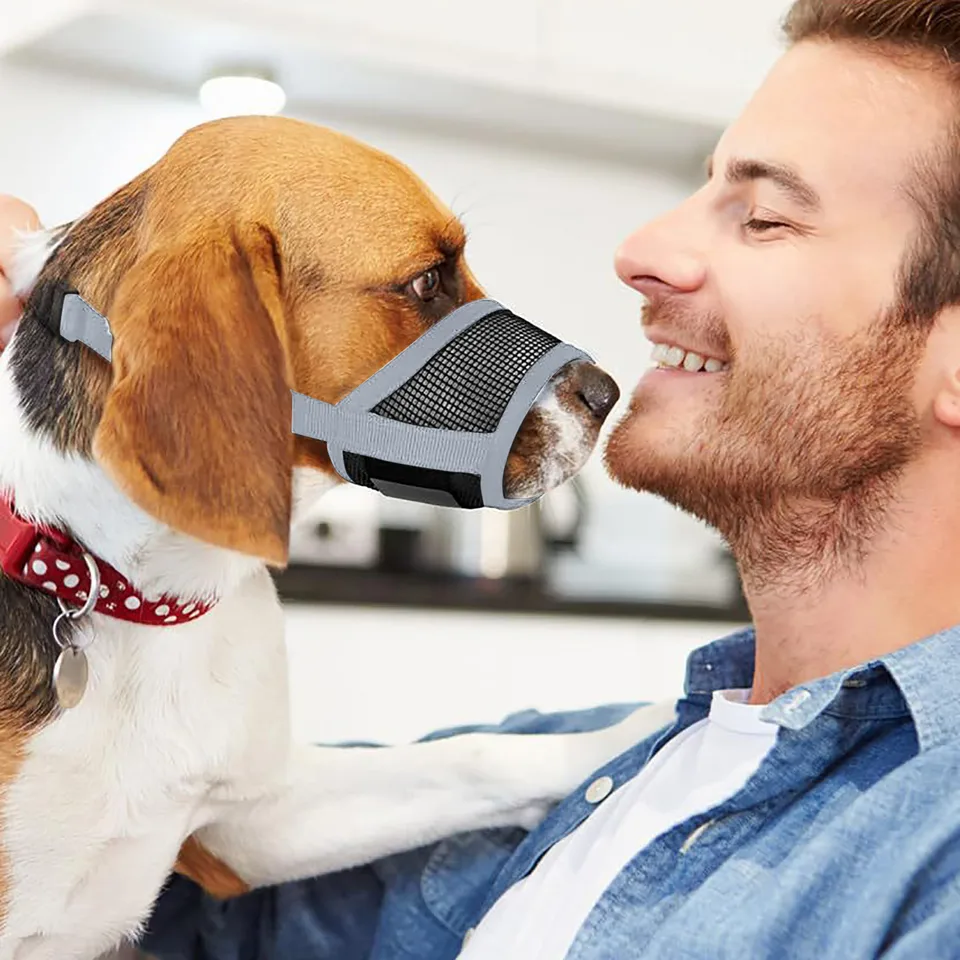 Bite Proof Best Dog Muzzle To Prevent Biting Dog Muzzle For Biting