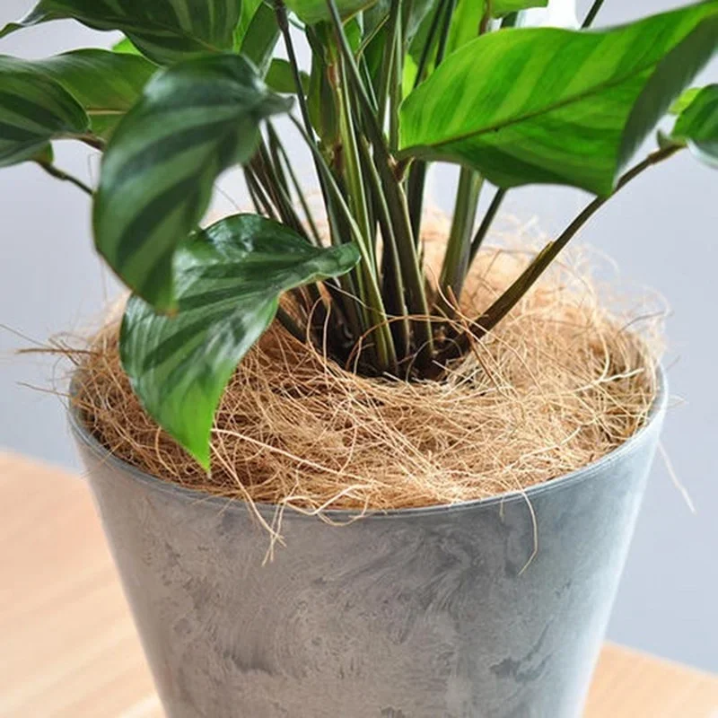 Flowerpot Gasket Planting Mat Reptile Bedding Gardening Mat Coconut Fiber Liners Natural Coconut Husk Fiber Flowerpot Cover Insect-proof Protect Garden Flower Plant Soil Keep Warm Reptile Bedding Bird Nest