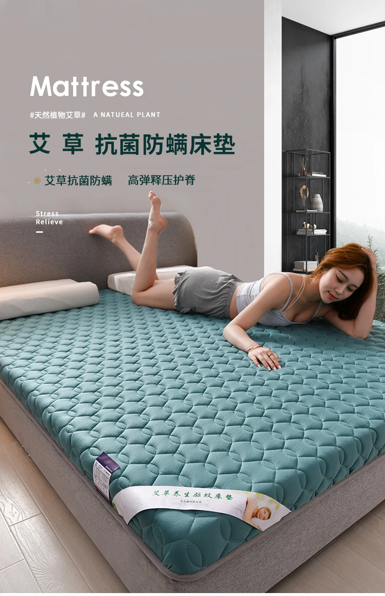 Description Picture 2 of itemWormwood mattress upholstered home mattress student dormitory single double folding mat tatami sponge hard pad mattress