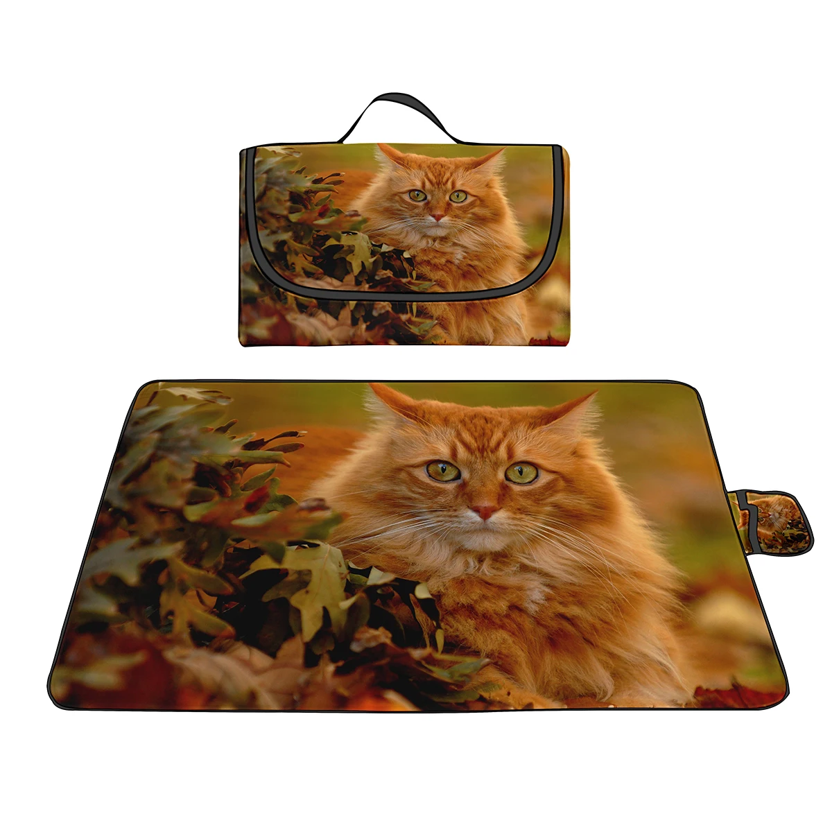 ������ ����Ʈ �޴�� ���� �߿� ��ũ�� ���, ���̽� �������� ��ũ�� ��Ʈ, �غ� ��Ƽ ���� ķ�� �ܵ� ���� ����