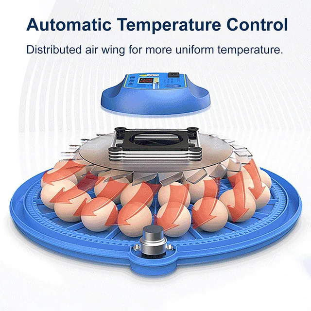 Incubadora Humidificación Ultrasónica Incubadora Automática Para 24 Huevos - Volteo Automático, Humidificación Ultrasónica, Pantalla Táctil - 220V Incubadora Pantalla Táctil Color