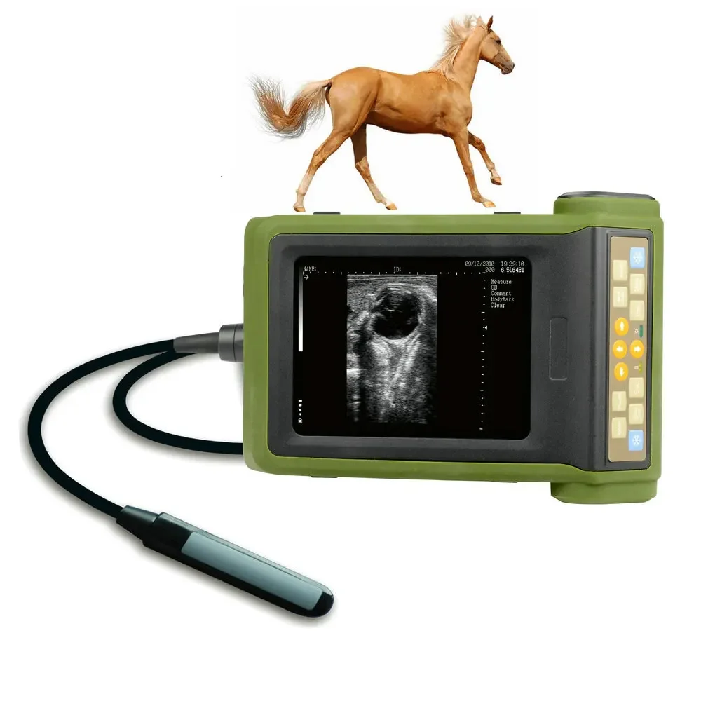 Ultrasonido Veterinary Porttil Rku10 Ultrasuoni Rku 10 Ecografo Kx Vet Ultrasound