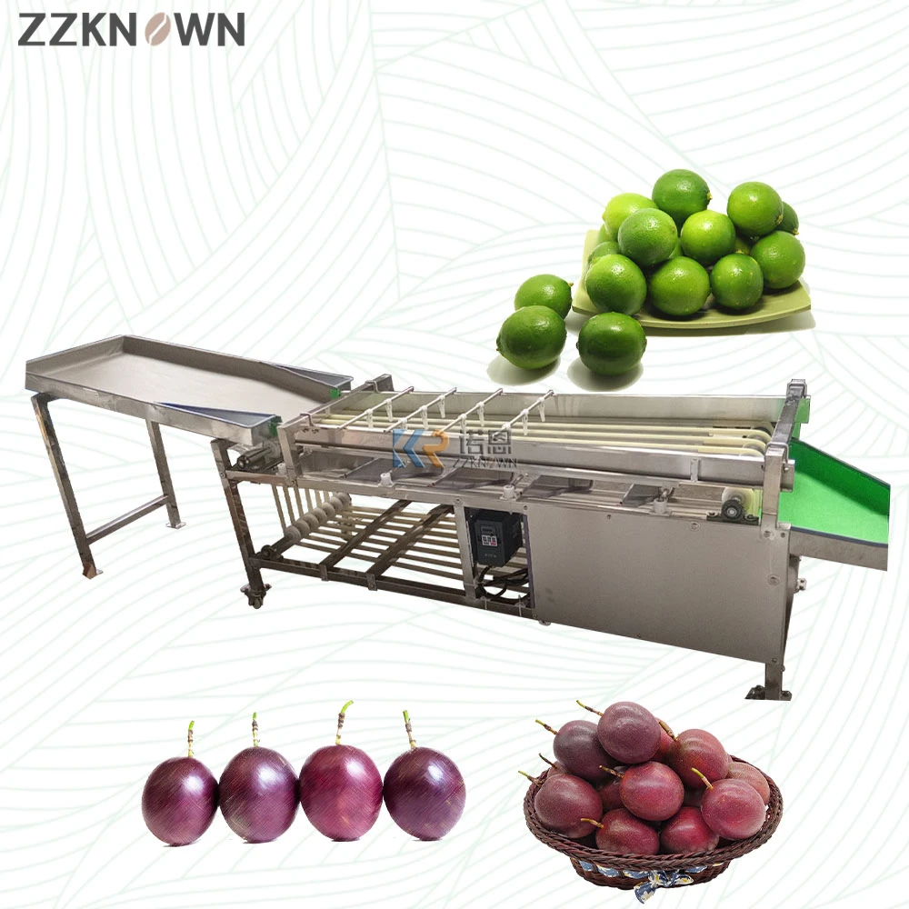 

Maize Potato Grading Machine Commercial Round Dates Sorting Machine High Quality Apple Orange Potato Tomato Sorting