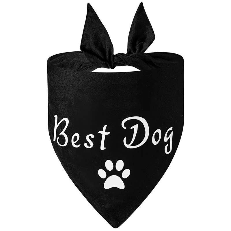 Title 13, Fashion Dog Wedding Triangle Bandanas Letter Pa...