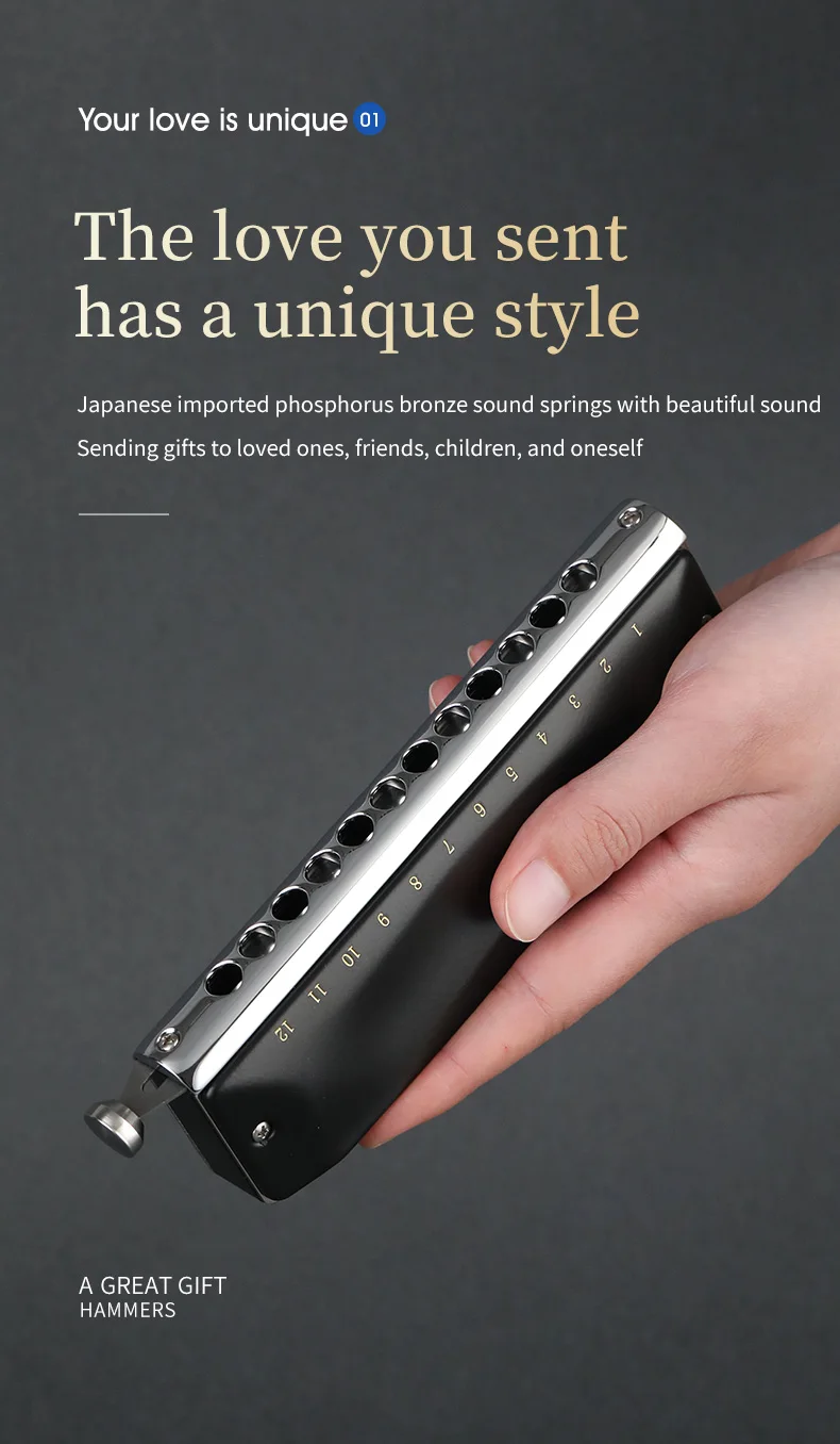 Description Picture 4 of itemJDR 0648Chromatic Harmonica Key of C 12 Holes 48 Tones Professional Mouth Organ Harmonica for Adults, Professionals and Students