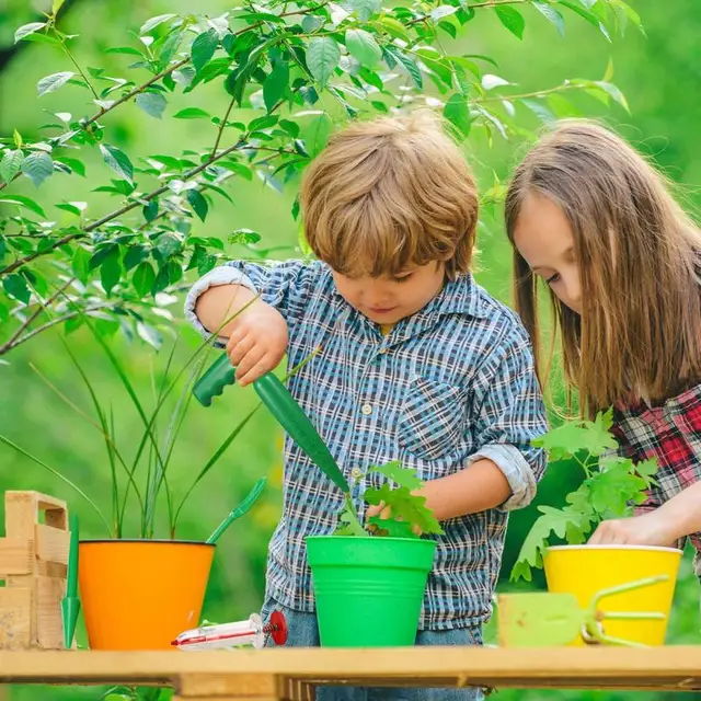 6Db Vetőmag -Adagoló Transzplantáló Szerszámokkal Mini Kézi Szóró Kerti Ültetvény A Sárgarépa Saláta Füves Spenót Maghoz - Image 4