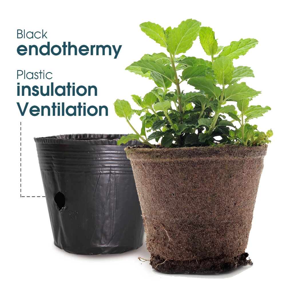 60個 プラスチック ポット花 多肉植物 苗 移植 プランター BangQiao 60