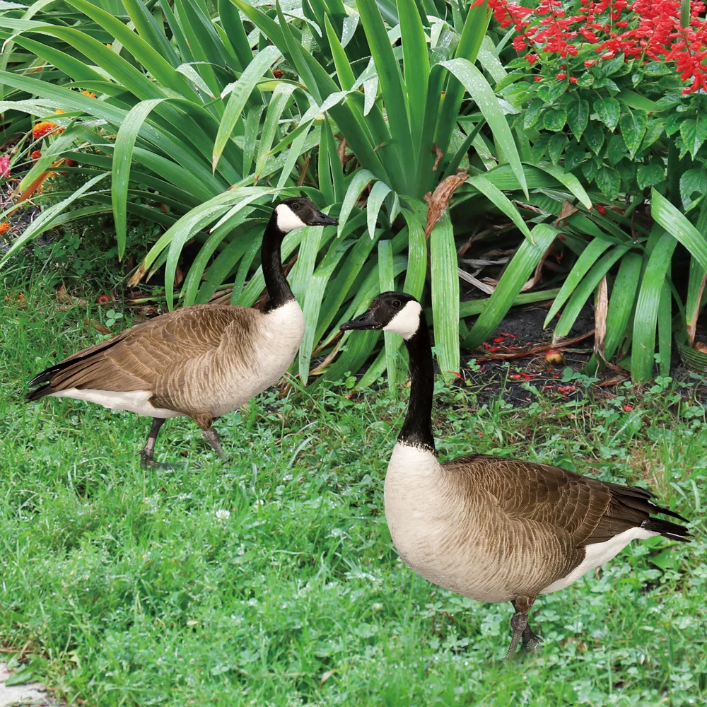 

Creative Duck Garden Poultry Statue Acrylic Duck Outdoor Decoration Ornament Realistic Eco-friendly Courtyard Art Sculpture