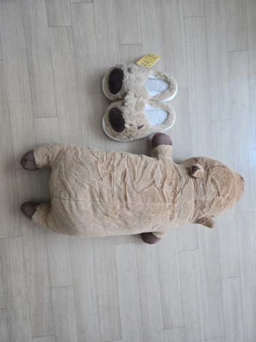 Chonky Sleeping Capybara Plushie photo review