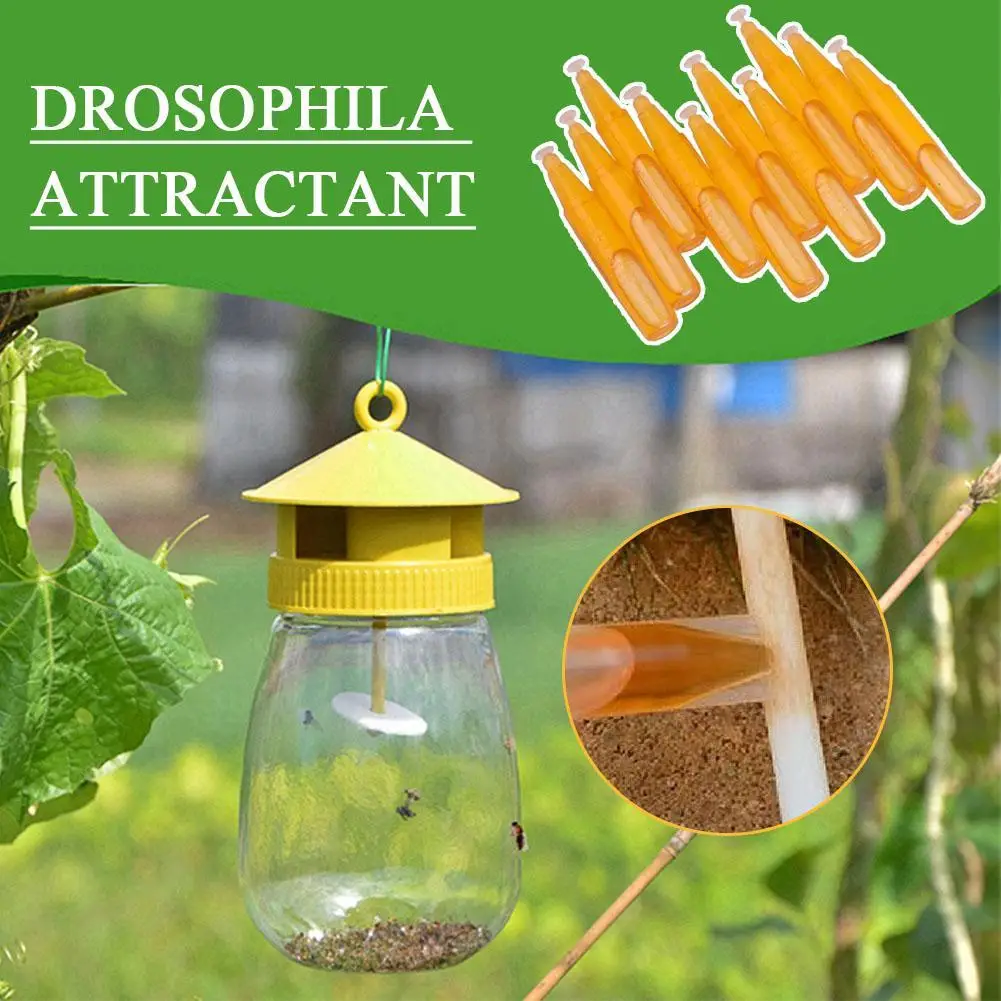 

10 Pcs Small Melon Fruit Fly Drosophila Attractant Beehive Attractant 2ml Trapping Fly Small Beekeeping Bait Fruit Agent Tr M8Z2
