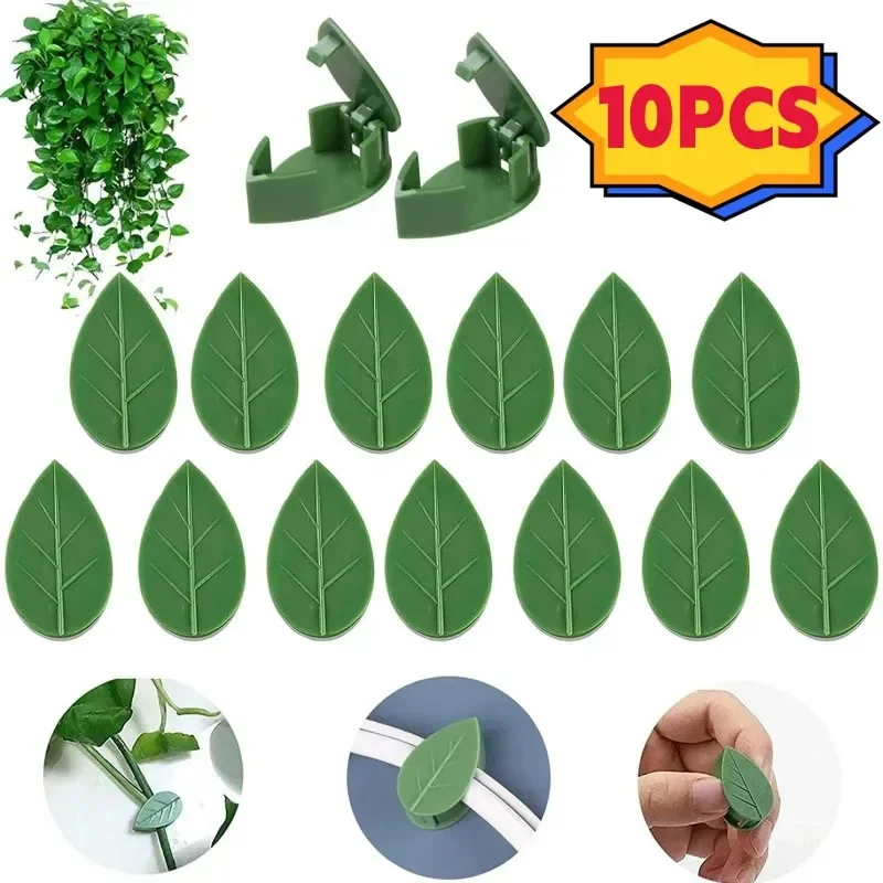Green plant wall climbing device wall green basket fixed flower buckle climbing vine suction cup hook clip