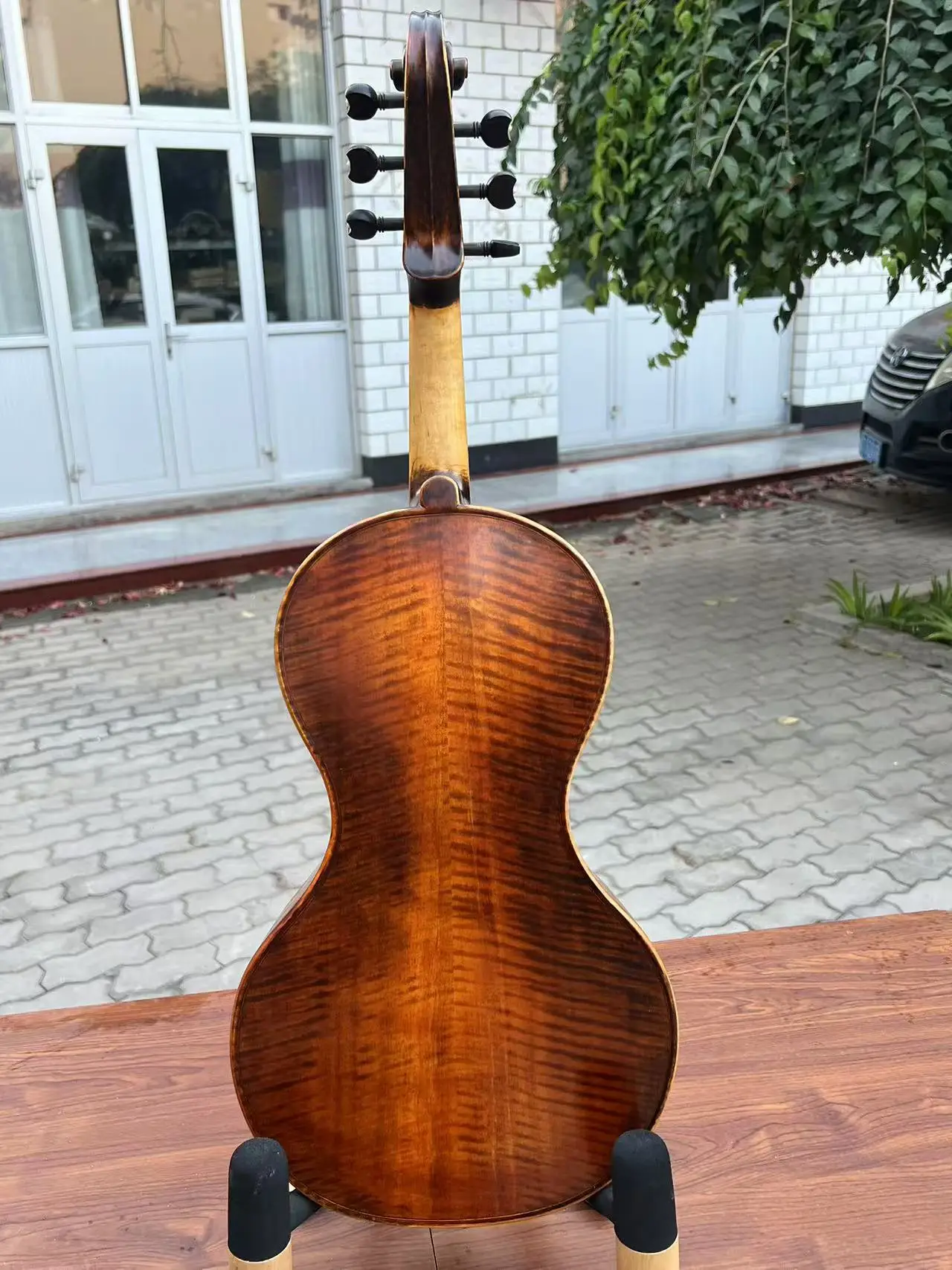 Baroque style SONG Brand brand Maestro 6 strings 17" viola da gamba #15975