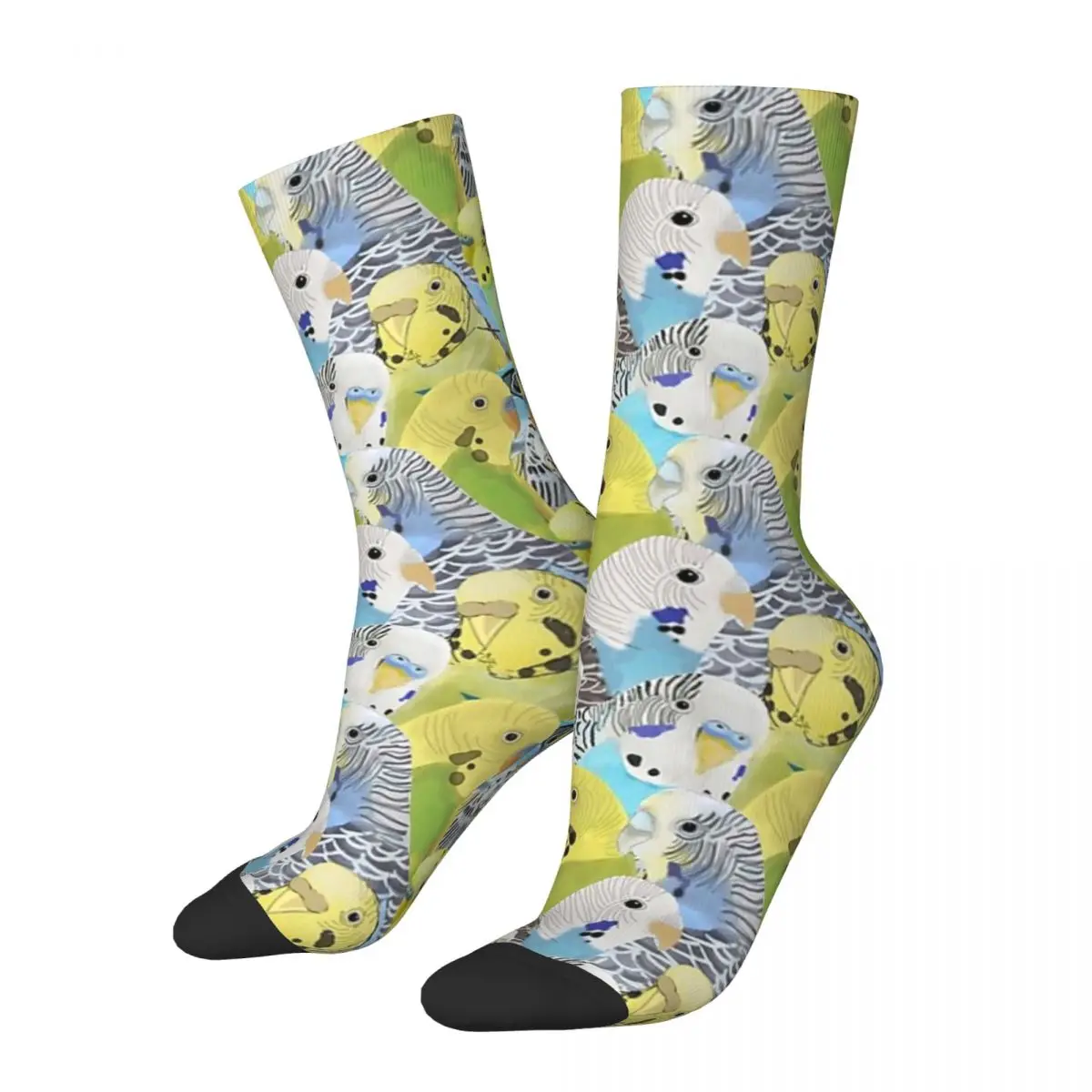 

Budgie Parakeets Socks Harajuku High Quality Stockings All Season Long Socks Accessories for Unisex Gifts