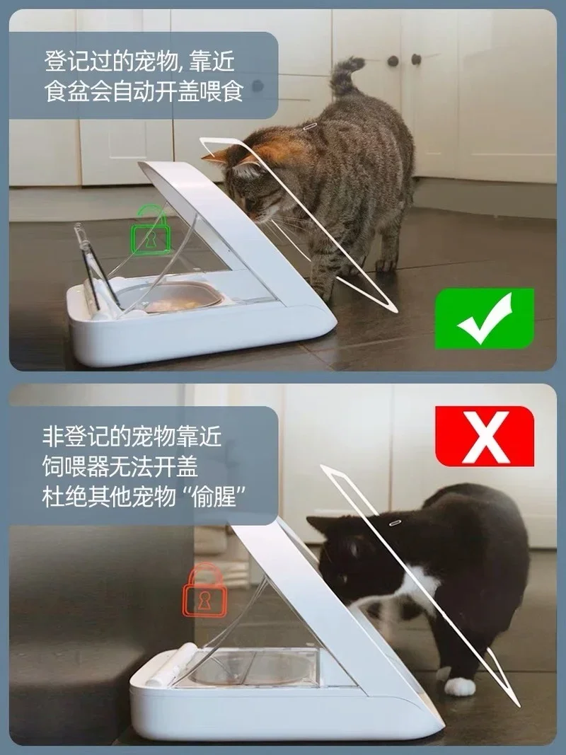 Surefeed UK smart chip recognition sensing automatic feeder wet food fresh pet cat bowl insect proof cat automatic feeder