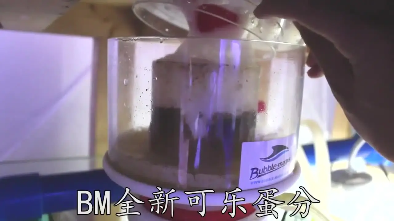 Bubble Magus, 5, 7, 9, A5, A8, A9カーブ水族館内部プロテイン