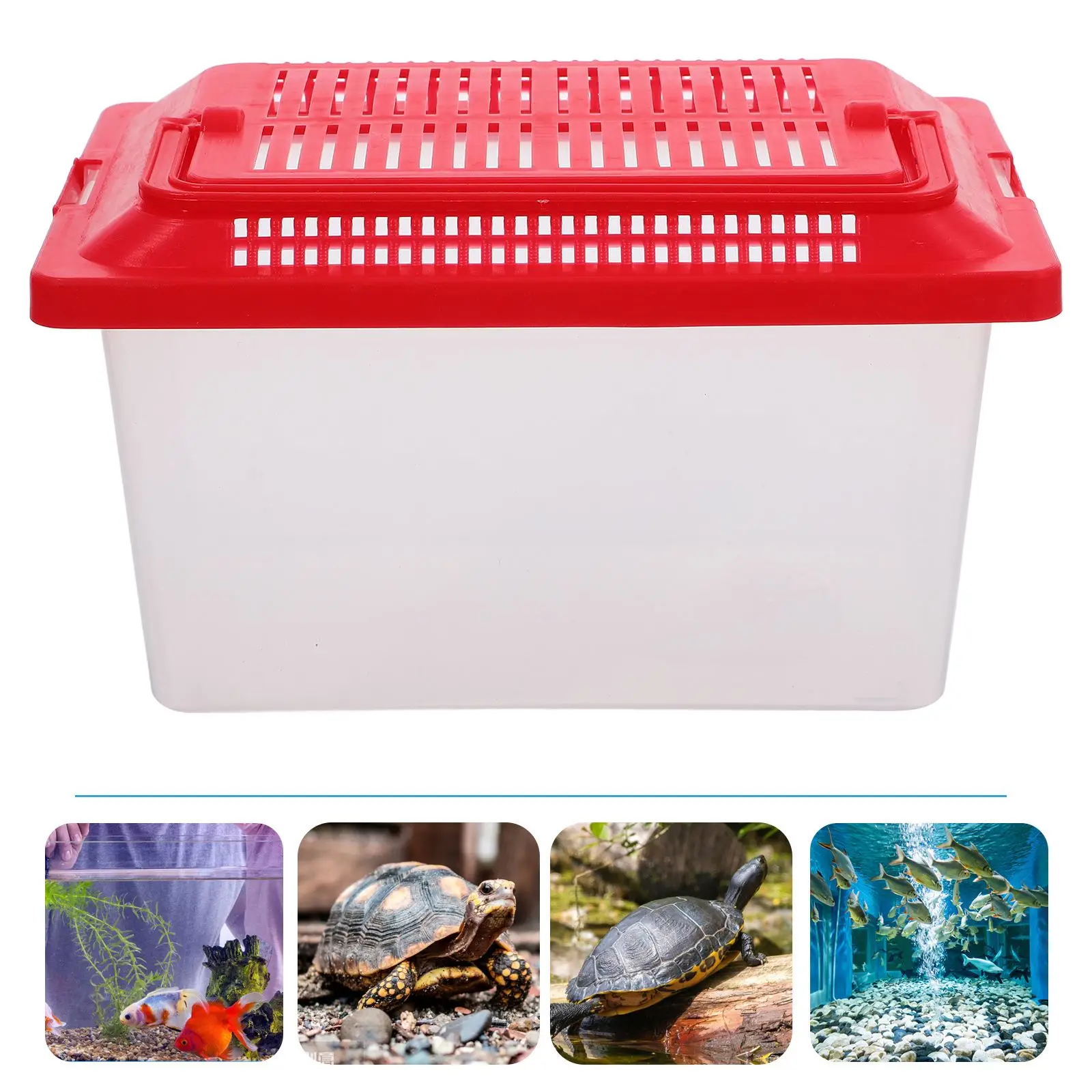 Portable Lightweight Pet Transport Box Plastic Aquarium Handheld Fish Tank Transparent Turtle Holder Creative Reptile Habitat
