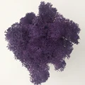 Dark purple
