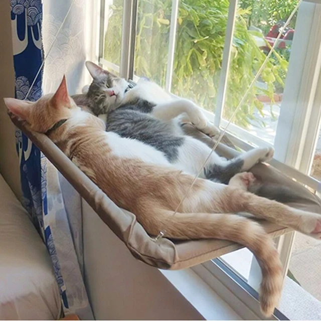 Cat Hammock, Window Seat Nest 4