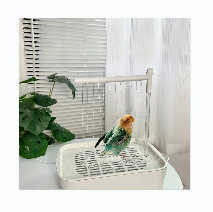 Parrot standing on a white automatic bird shower basin, ready for bath time.