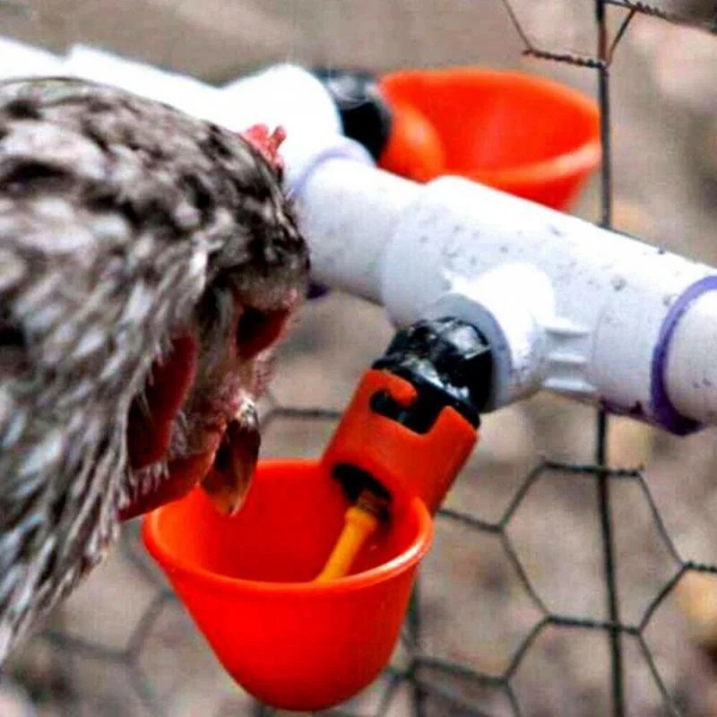 Poultry Drinking Cups Poultry Water Dispenser Poultry Feeder Poultry Waterer 5/10/20PCS Chicken Drinking Cup Automatic Drinker Chicken Feeder Plastic Poultry Waterer Drinking Water Feeder Chicks Duck Goose