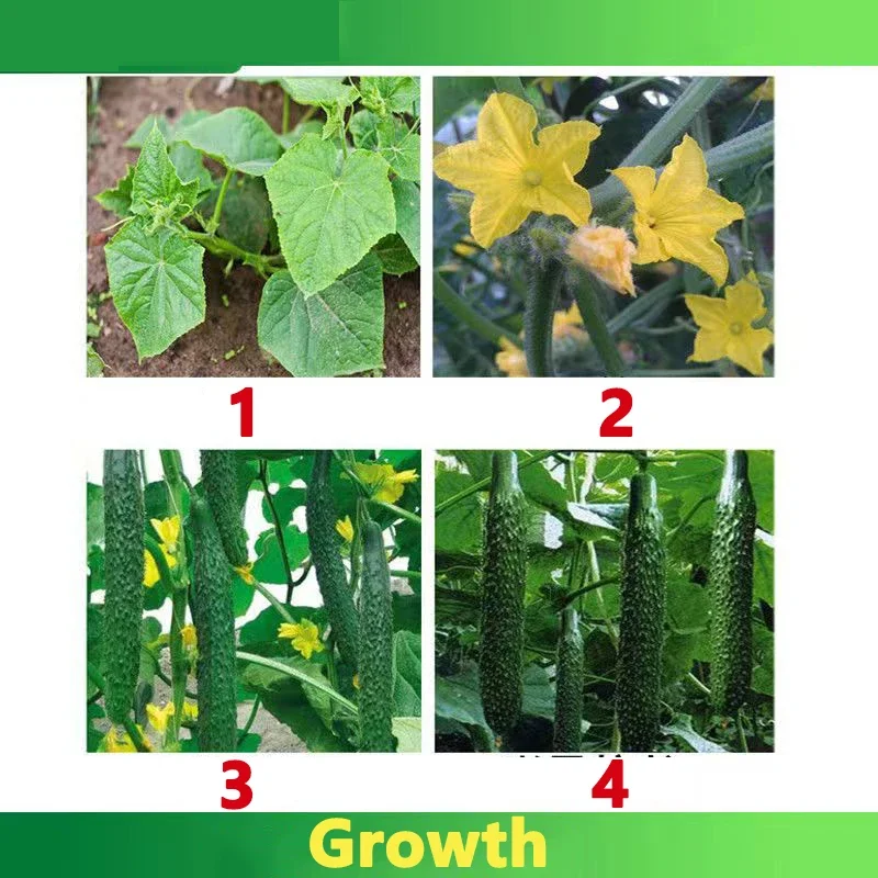 Plant compound fertilizer cucumber profession fertilizer special for loofah momordica gourd cantaloupe garden plant food promote growth crop farm