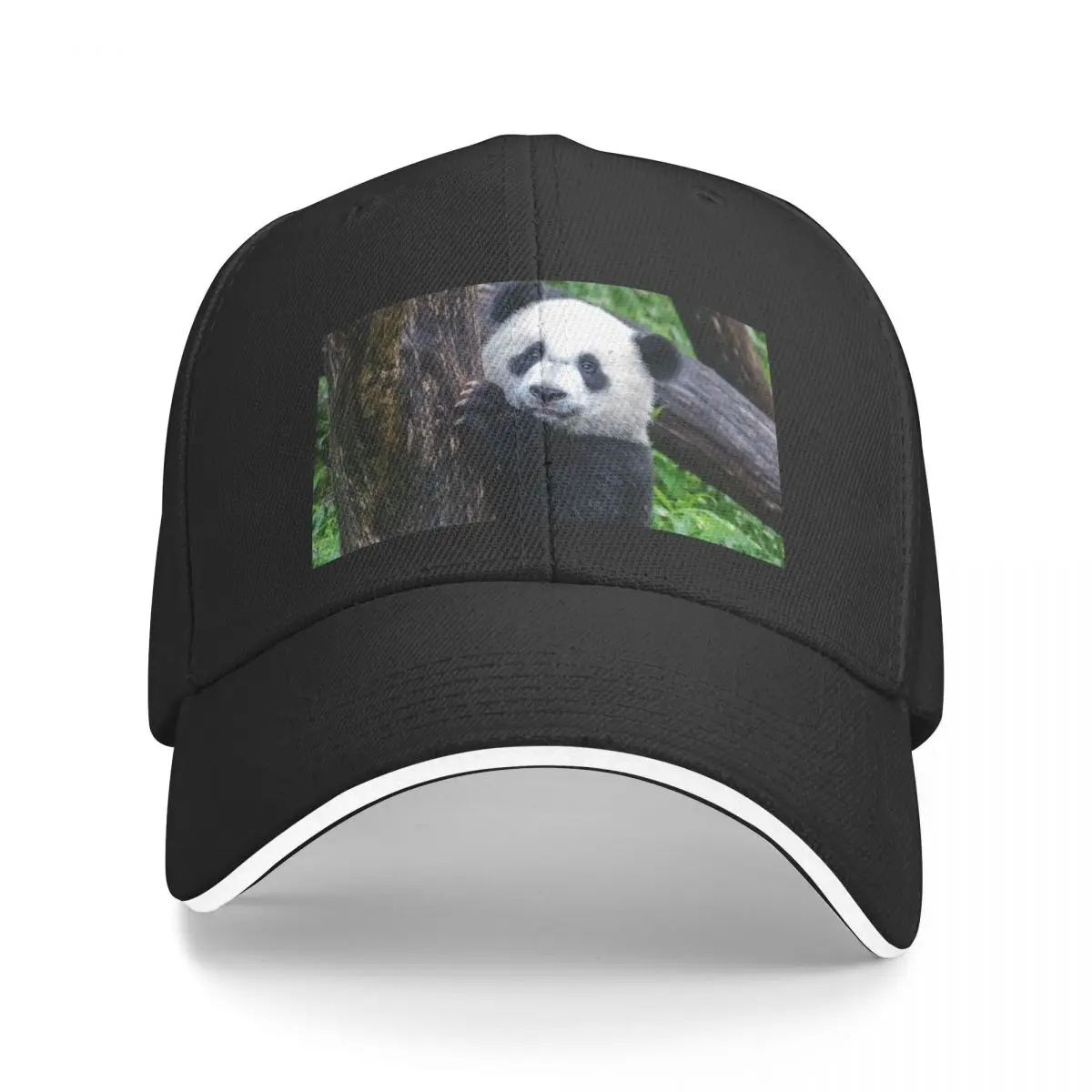 

New Giant Panda Xiao Qi Ji at the National Zoo Baseball Cap Military Tactical Caps Fluffy Hat Hat Women Men's